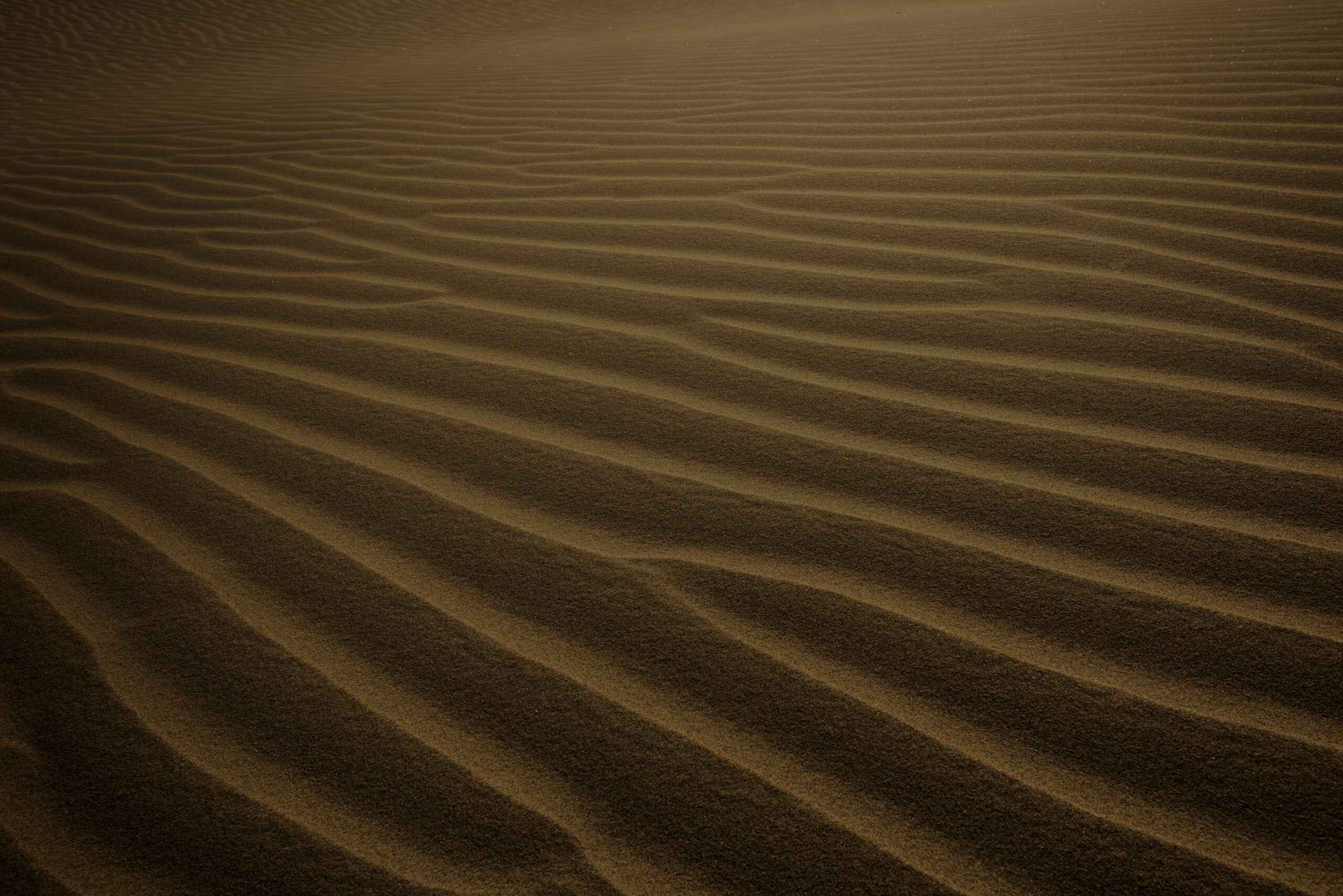 sand dunes that look like fingerprints