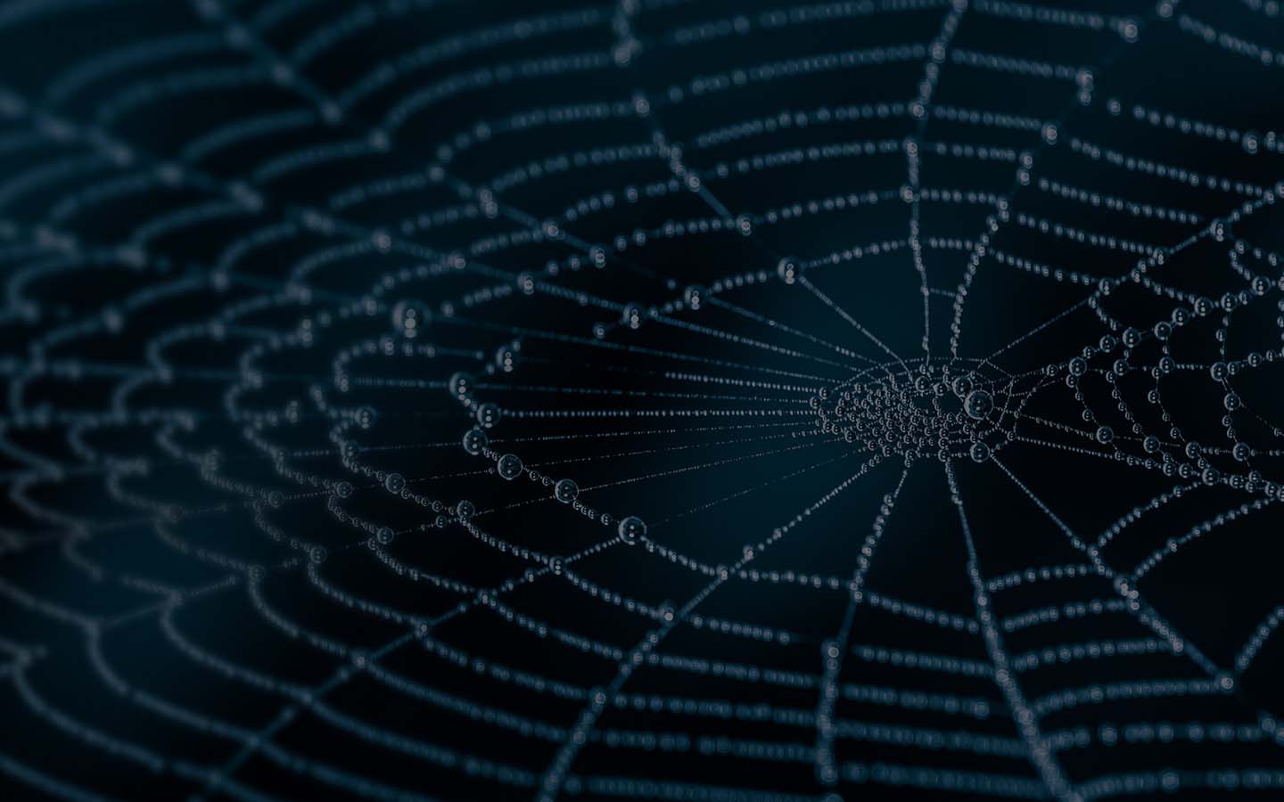 a spider web covered in dew on a black background